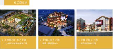 老徐爆料楼盘视频大全,楼盘视频大全深度解析